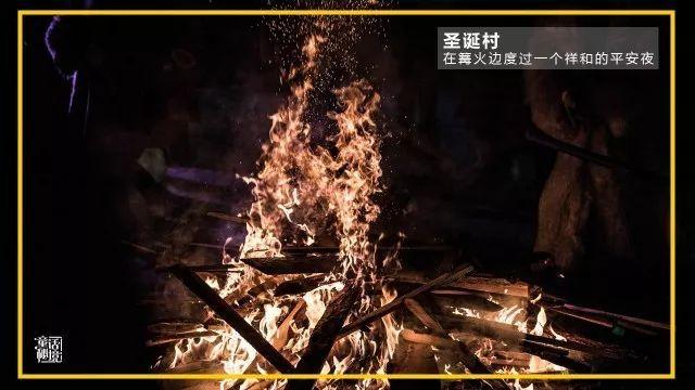 蓝狐视频